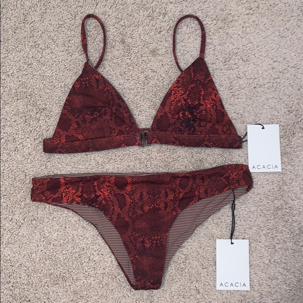 Acacia Amber Py $225 v